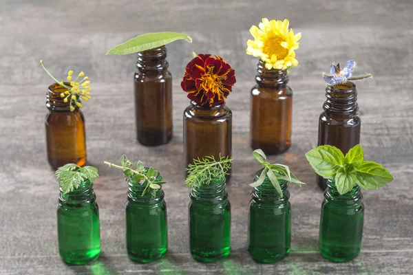 Μπουκάλι αιθέριο έλαιο με επιλεκτική θεραπευτικά βότανα και φυτά — Φωτογραφία Αρχείου