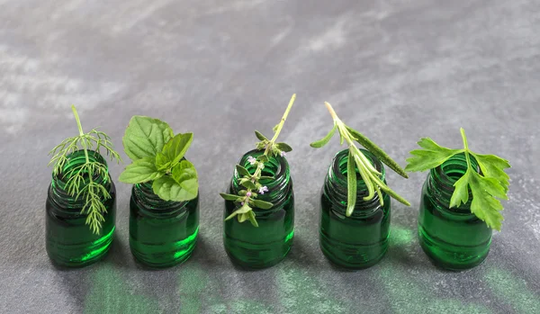 Grüne Flasche ätherisches Öl mit frischen Kräutern und Heilpflanzen — Stockfoto