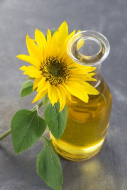 test tüpleri bitkisel ilaç researchpants