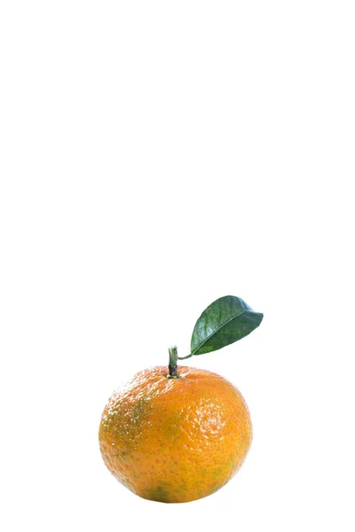 Moget mandarin med leaf närbild på en vit bakgrund. — Stockfoto