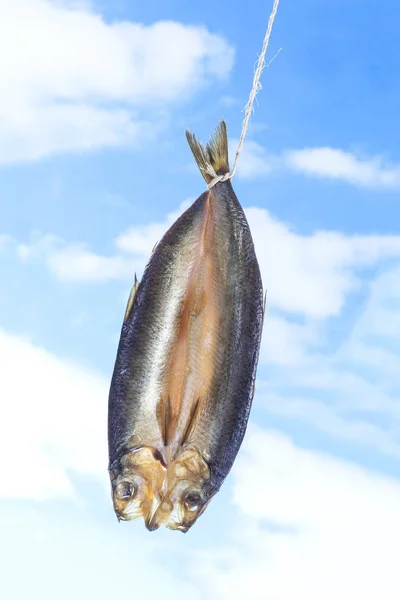 Traditionellt rökt kippered herring på blå himmel bakgrund — Stockfoto