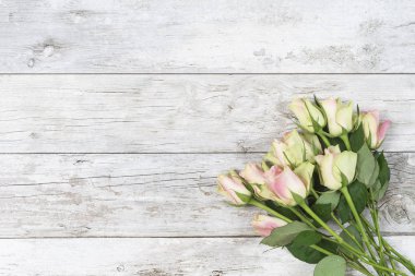 Sevgiliye gül çiçek 