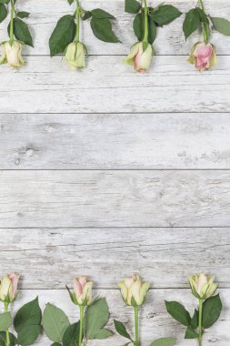 Sevgiliye gül çiçek 