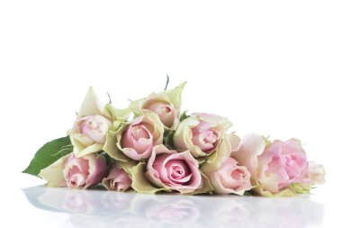 Büyük pembe gül buketi