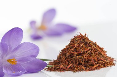 Çiğdem çiçek ve beyaz zemin üzerine safran baharat kurutulmuş.