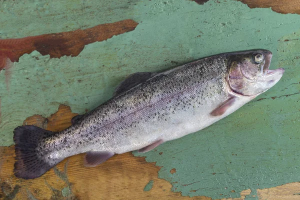 Fresco, Pesca alla trota, trota di fiume, rotta arcobaleno, su vecchia tavola bianca — Foto Stock