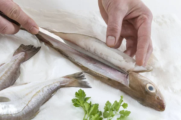 Fresco crudo essendo filettatura per ricetta su sfondo bianco — Foto Stock