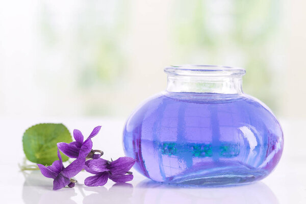 Gathered viola flower Viola Odorata . Raw materials for essential oils,