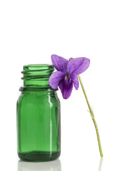 Samlade viola blomma Viola Odorata. Råvaror för eteriska oljor, — Stockfoto