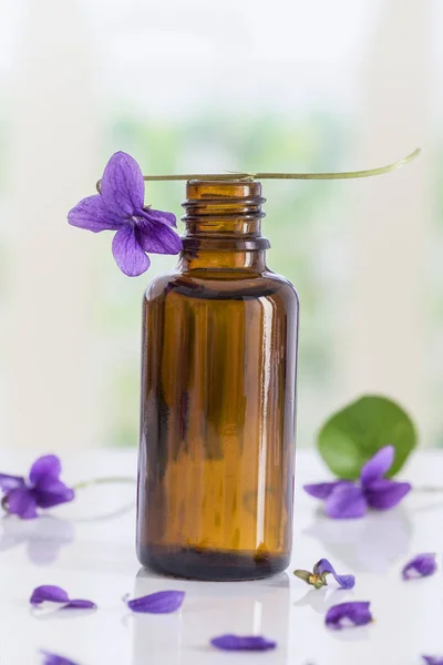 Gathered viola flower Viola Odorata . Raw materials for essential oils, — Stock Photo, Image