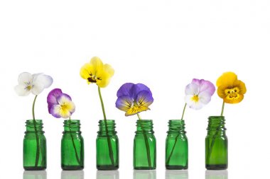 Viola üç renkli güzel Hercai Menekşe, uçucu yağ şişe