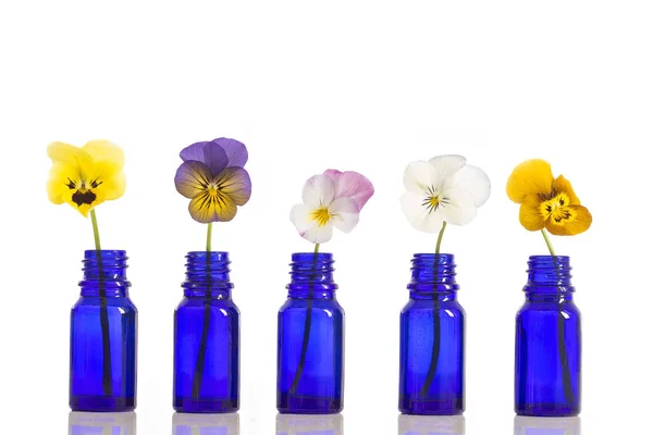 Viola tricolor nice pansies,essential oil in bottle — Stock Image Viola tricolor nice pansies,essential oil in bottle Royalty Free Stock Photos