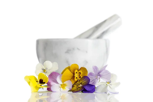 Viola tricolor nice pansies ,in and outsite ceramic mortar — Stock Image Viola tricolor nice pansies ,in and outsite ceramic mortar Stock Image