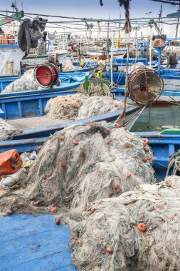 Houmt Souk, Marina, Tunus, balıkçı tekneleri, Djerba Adası ve bir kedi
