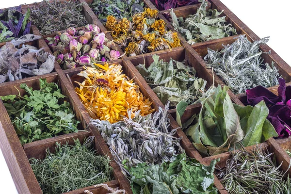 Assortiment van gedroogde kruiden fabriek voor thee in houten kist — Stockfoto