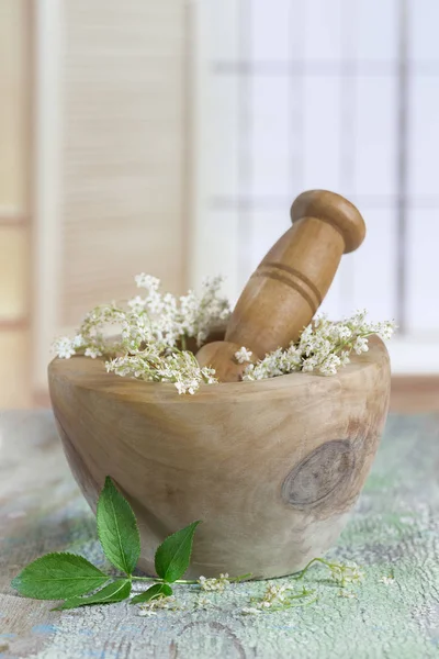 对中草药的木制砂浆白色接骨木花 — 图库照片