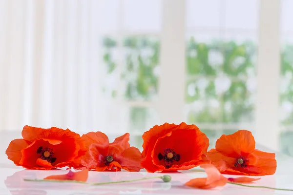 Poppieslying rouge sur la table sur les fenêtres, fond — Photo