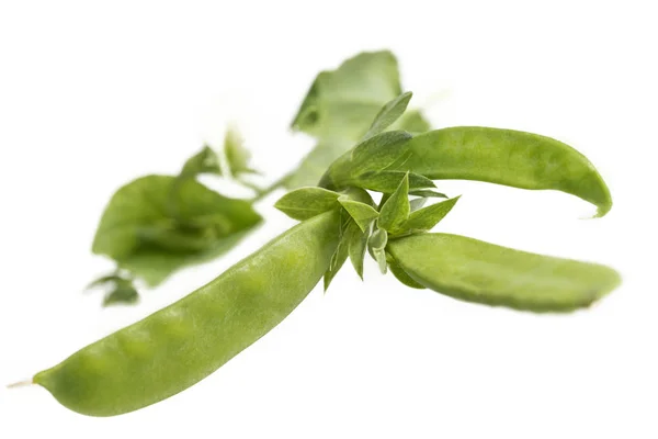 Ramo de feijão verde "gourmet" isolado em branco — Fotografia de Stock