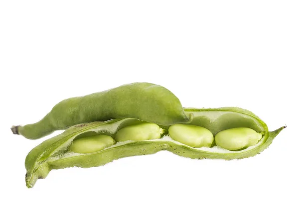 Closeup of some broad bean pods and beans on white — Stock Photo, Image