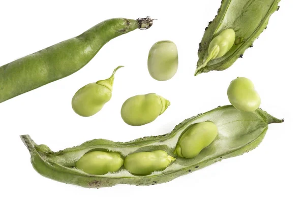 Closeup of some broad bean pods and beans on white — Stock Photo, Image