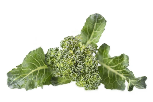 Čerstvě zelená brokolice na bílém — Stock fotografie