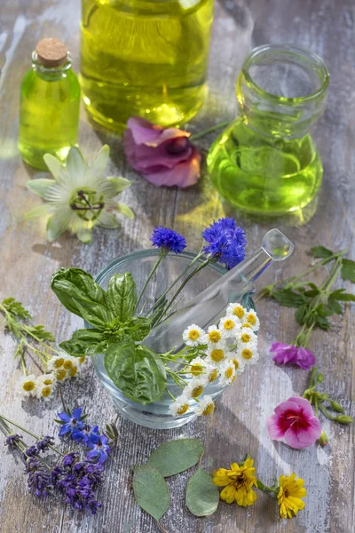 Óleos essenciais para o tratamento de aromaterapia com ervas frescas em argamassa fundo branco — Fotografia de Stock