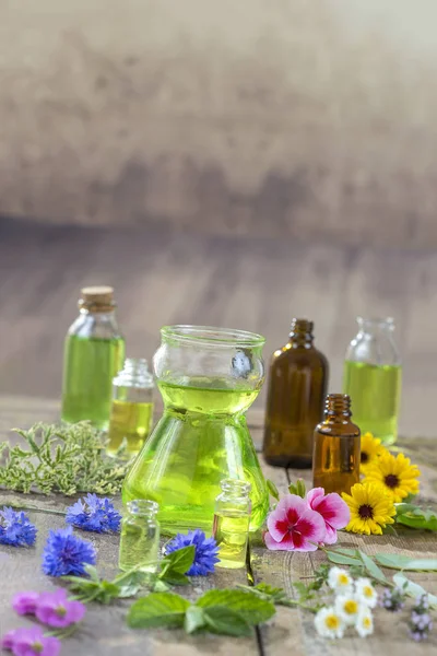 Bylinné terapie a aromathrapy koncept: alternativní léčba s čerstvým léčivých bylin a květin na dřevěné pozadí — Stock fotografie