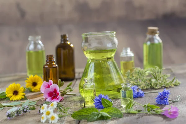 Herbal therapy and aromathrapy concept: alternative treatment with fresh medicinal herbs and flowers on wooden background