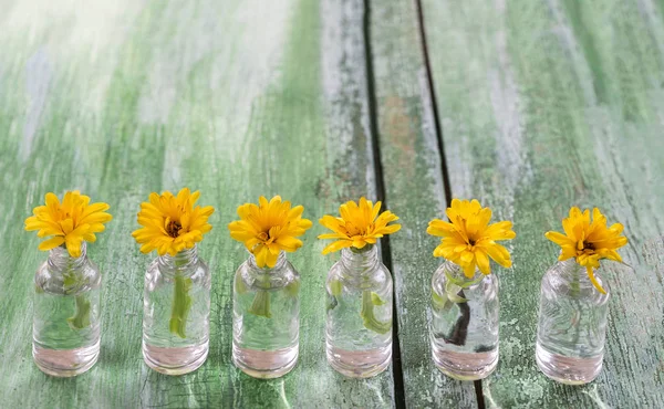 Flores amarillas de caléndula en frascos de medicina sobre fondo de madera verde agrietado viejo —  Fotos de Stock