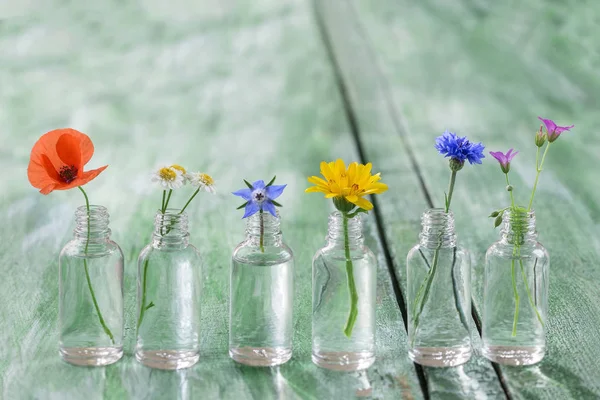 Healing flowers in bottles for herbal medicine on old wooden green craked