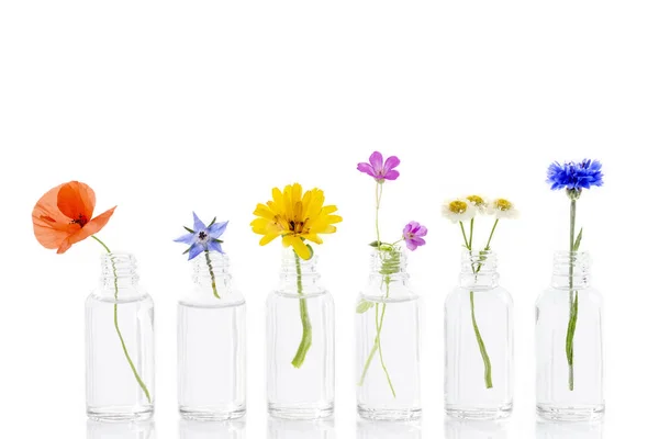 Örtmedicin blommor i flaskor för örtmedicin på vit — Stockfoto