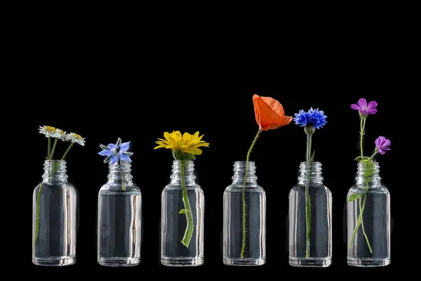Läkande blommor i flaskor för örtmedicin på svart — Stockfoto
