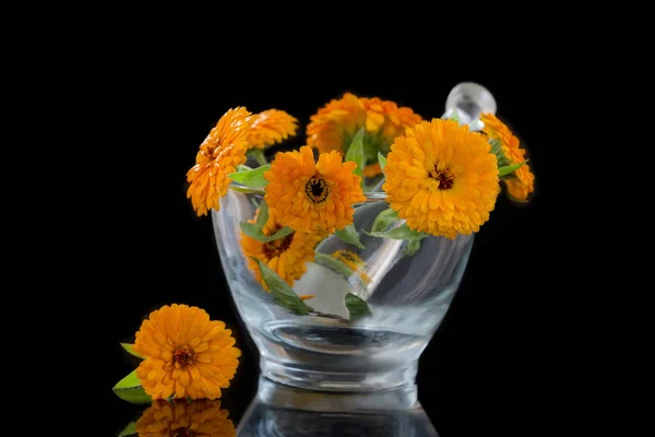 Orange Calendula flowers in a glass mortar on blavk — Stock Photo, Image
