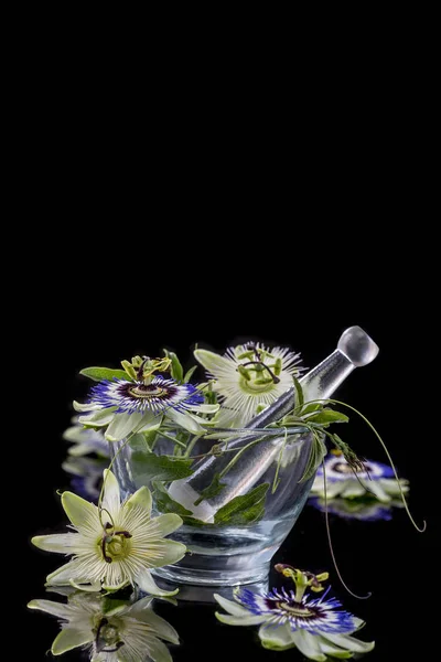 Flor de la pasión de color blanco y azul con mortero de cristal en negro —  Fotos de Stock