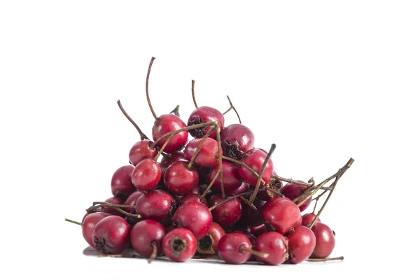 赤いサンザシの山の果実を白い背景に切り取ってサンザシ — ストック写真
