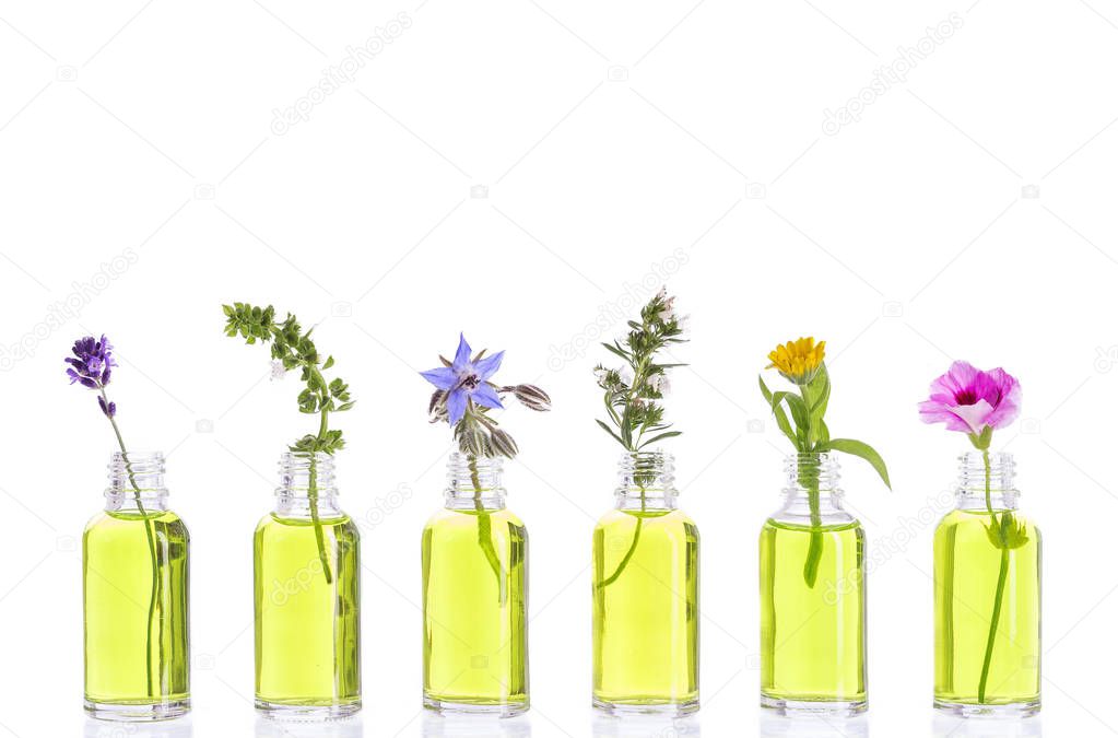 Bottle of essential oil with herbs and flowers set up on white background .