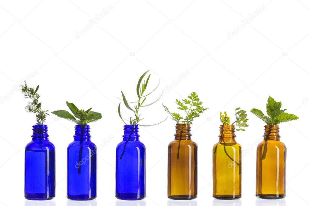 Blue and brown Bottle of essential oil with herbs and flowers set up on white background .