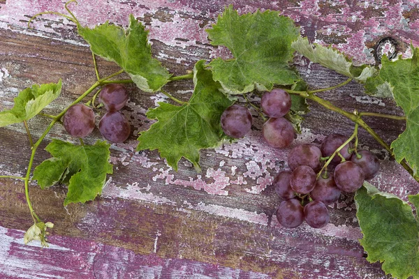 Bouquet de raisins rouges sur une vieille table en bois de peinture pourpre — Photo