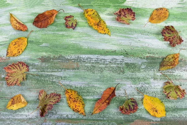 metin için yer yeşil ahşap zemin üzerine sınır oluşturan çeşitli renkli yaprakları ile sonbahar arka plan