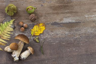 Kestane, ceviz, fındık, meşe palamutları, ceps ve yaprakları eski ahşap arka plan dekoratif sonbahar sağ kenarlık