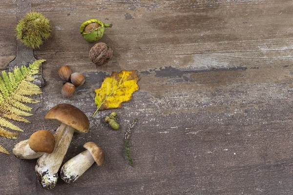 Kestane, ceviz, fındık, meşe palamutları, ceps ve yaprakları eski ahşap arka plan dekoratif sonbahar sağ kenarlık