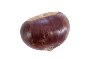 taze kestane üzerinde beyaz izole