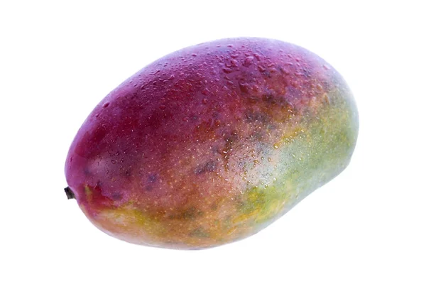 Hela mogen grön röd Mango isolerad på vit bakgrund med droppe vatten — Stockfoto