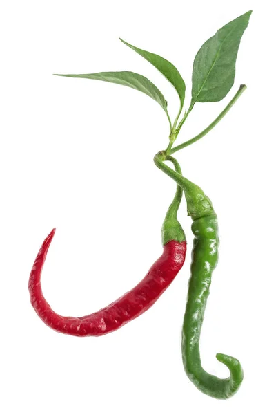 Zelená, cayenne červené barevné papriky izolovaných na bílém pozadí. — Stock fotografie