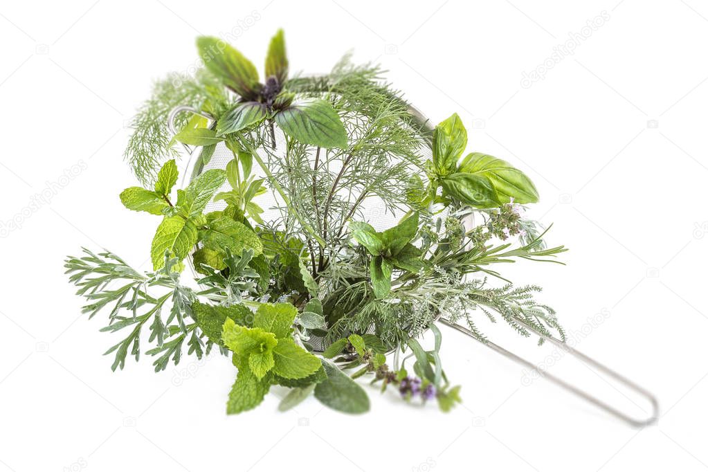 collection on herbal medicine herbs in a metal sieve on a white background