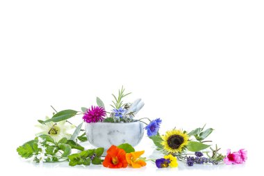 Otlar ve phytotherapyand Sağlık Güzellik için beyaz hazırlanıyor şifalı bitkiler üzerinde taze şifalı bitkiler ile seramik havan topu
