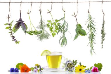 Çeşitli taze otlar ve bitki çayı ile üstte asılı beyaz taze şifalı bitkiler üzerinde kenarlık. Fitoterapi beyaz için şifalı bitkiler hazırlanıyor