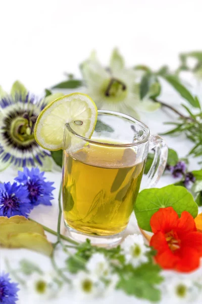 Κοντινό πλάνο διάφορα φρέσκα βότανα και τσάι βοτάνων σε λευκό φρέσκο φαρμακευτικών φυτών και σε πακέτο. Προετοιμασία φαρμακευτικών φυτών για φυτοθεραπεία και προαγωγή της υγείας, — Φωτογραφία Αρχείου