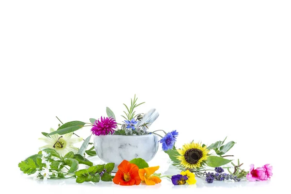 Mortero cerámico con hierbas y plantas medicinales frescas sobre blanco Preparación de plantas medicinales para la fitoterapia y la belleza de la salud — Foto de Stock