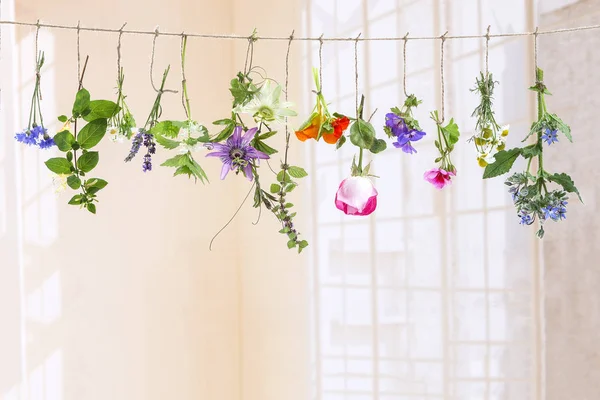 Hierbas aromáticas frescas y flores comestibles colgadas en una cuerda, frente a un fondo blanco — Foto de Stock